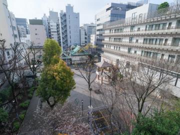 周辺(2026年4月)