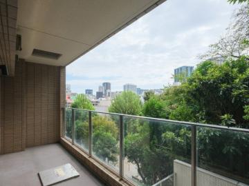 バルコニー(2025年10月)