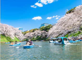 千鳥ヶ淵