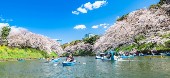 千鳥ヶ淵